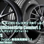 【新発売】コンフォートタイヤ＆ドレスアップホイール ｜グッドイヤーEfficientGrip Comfort ＆RIZLEY VS ｜タイヤホイール4本セット