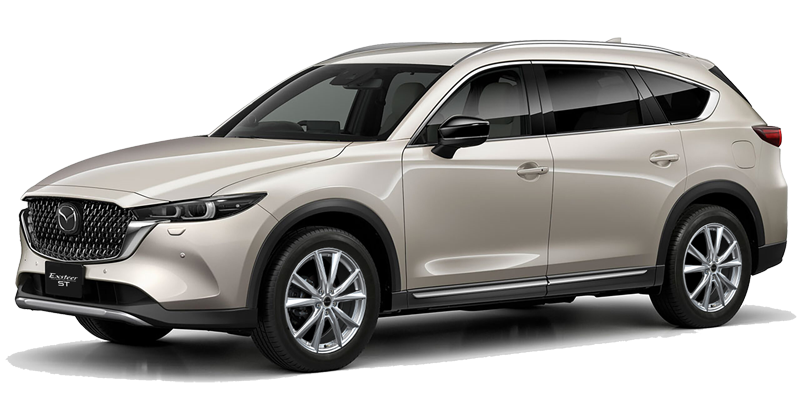 カジュアルホイール 、Exsteer STを新規発売開始